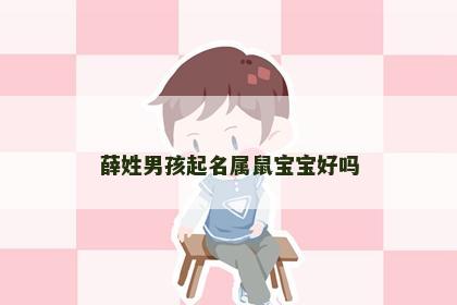 薛姓男孩起名属鼠宝宝好吗