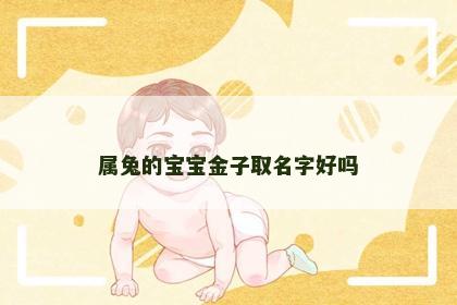 属兔的宝宝金子取名字好吗