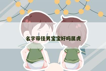 名字带佳男宝宝好吗属虎