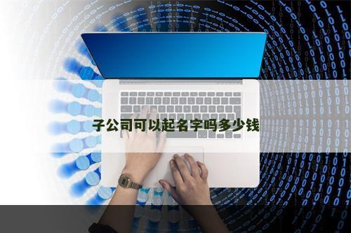 子公司可以起名字吗多少钱