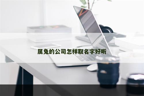 属兔的公司怎样取名字好听