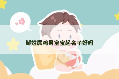 邹姓属鸡男宝宝起名子好吗