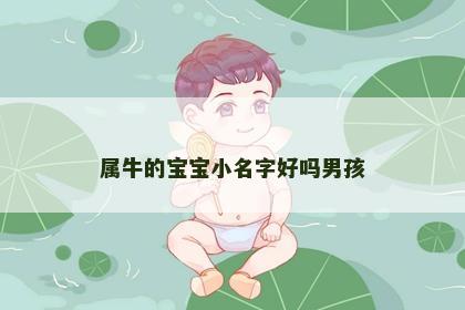 属牛的宝宝小名字好吗男孩