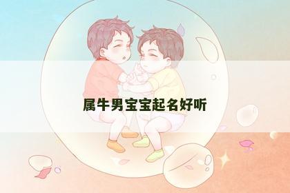属牛男宝宝起名好听