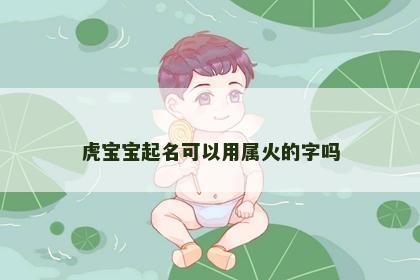 虎宝宝起名可以用属火的字吗