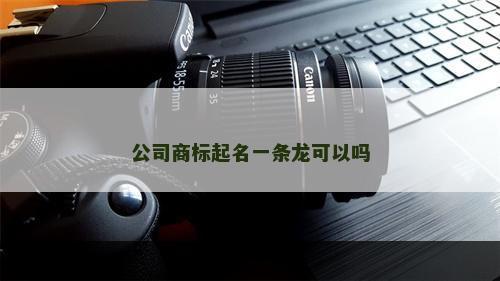 公司商标起名一条龙可以吗