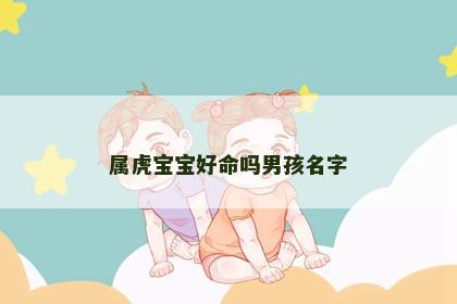 属虎宝宝好命吗男孩名字