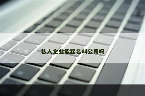 私人企业能起名叫公司吗