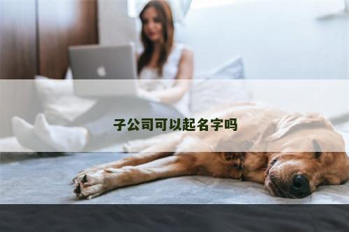 子公司可以起名字吗