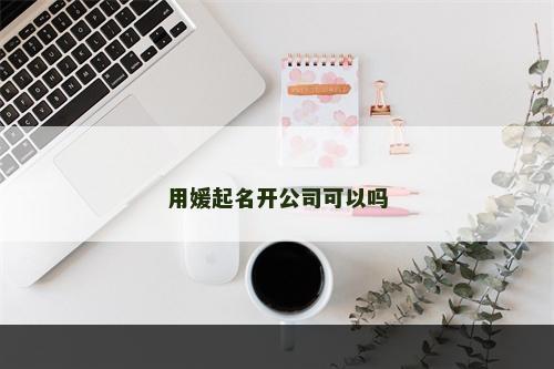 用媛起名开公司可以吗