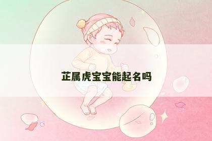 芷属虎宝宝能起名吗