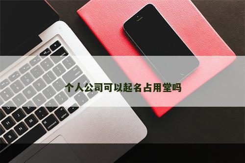 个人公司可以起名占用堂吗