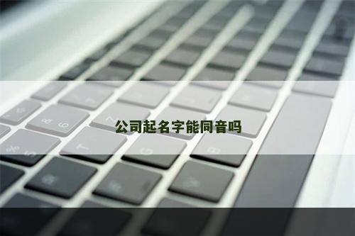 公司起名字能同音吗