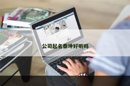 公司起名泰坤好听吗
