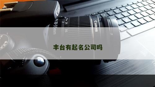 丰台有起名公司吗