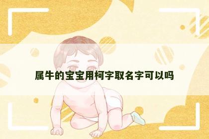 属牛的宝宝用柯字取名字可以吗