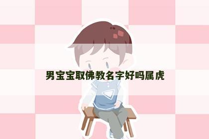 男宝宝取佛教名字好吗属虎