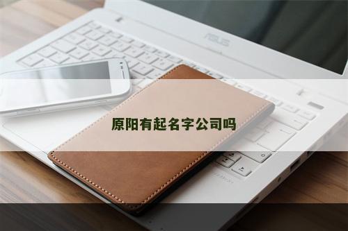 原阳有起名字公司吗